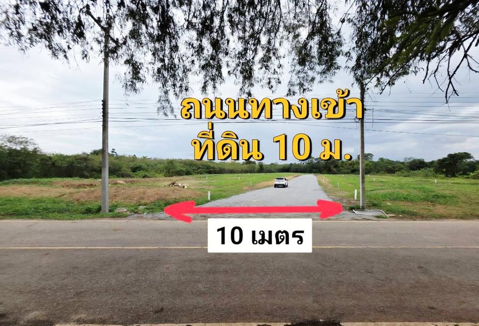 ขายที่ดินหมูสี ปากช่อง เขาใหญ่ สูงกว่าระดับน้ำทะเล 375 เมตร ทำเลทองหล่อเขาใหญ่  ราคาดีที่สุด รีบจองก่อนหมด ใกล้ธนะรัชต์ 4