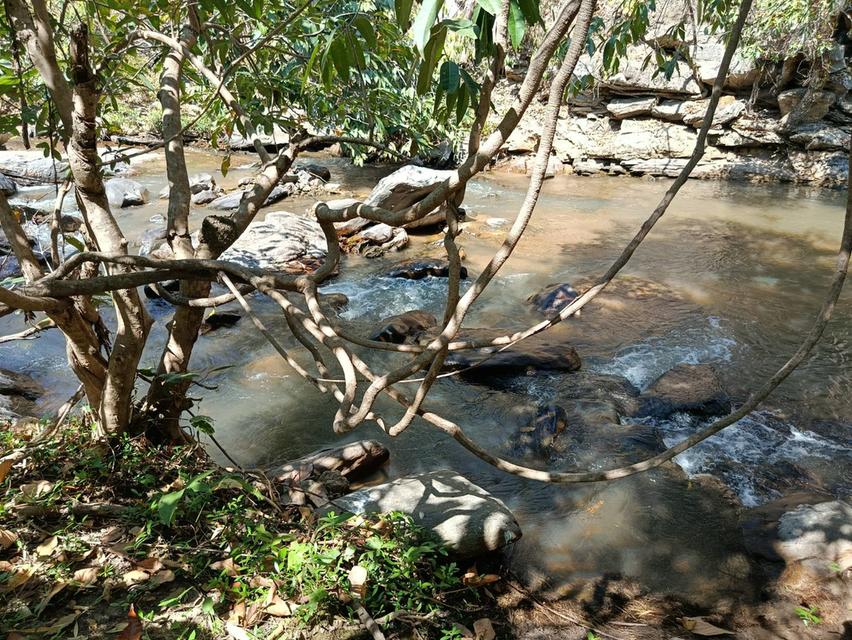 ขายที่ดินวิวธรรมชาติใกล้น้ำตกแม่ยะศักยภาพสูง ใกล้น้ำตกแม่ยะ อ.จอมทอง จ.เชียงใหม่ 8