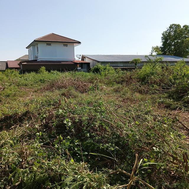 ที่ดินท่าไข่ฉะเชิงเทรา 7