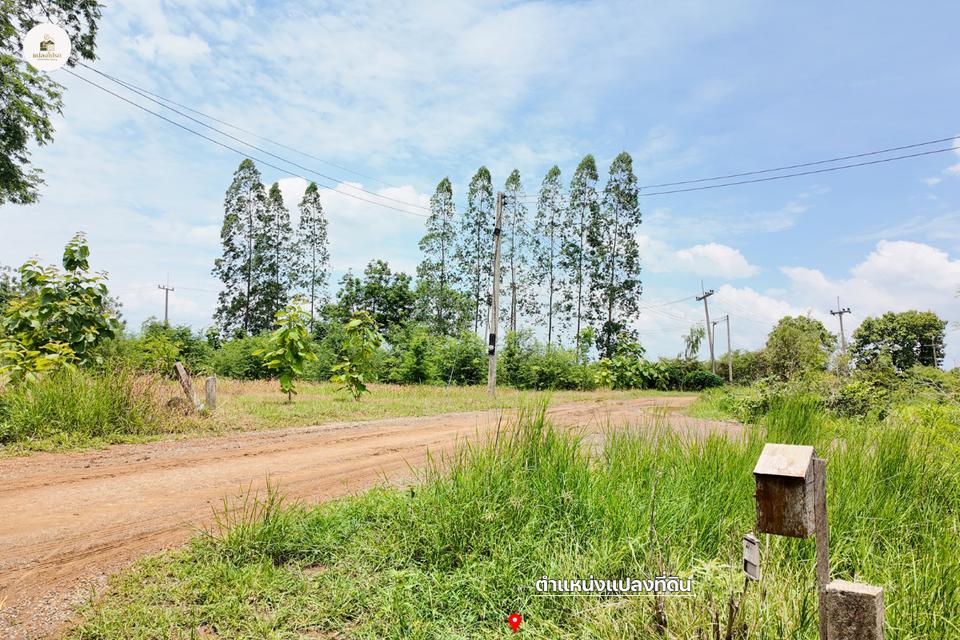 ขายบ้านพร้อมที่ดิน 2 ไร่ 2 งาน 19 ตร.ว. โฉนดครุฑแดง วิวภูเขา ต.วังชมภู เพชรบูรณ์ 10