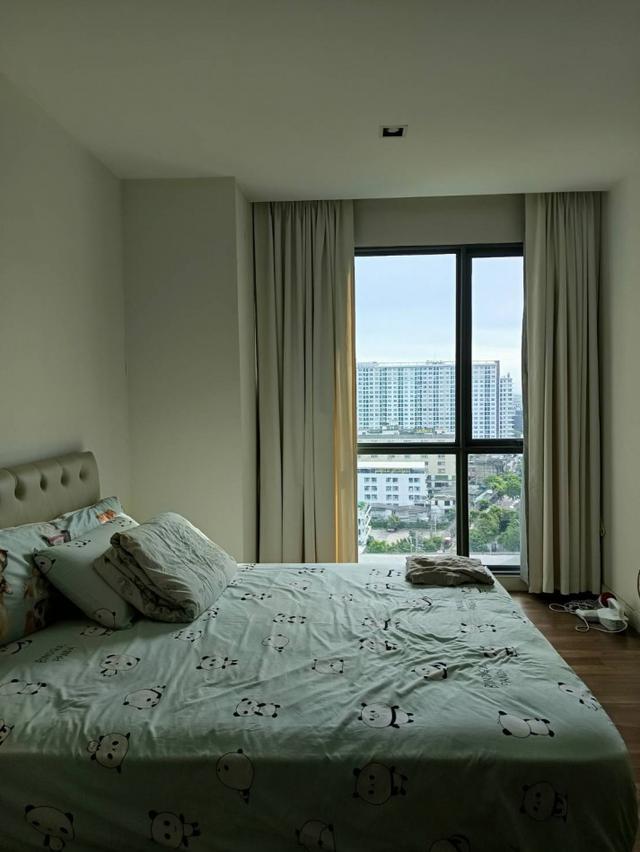 ให้เช่าคอนโด The Room Sukhumvit 62 (เดอะ รูม สุขุมวิท 62) ขนาด 45 ตรม ชั้น 14 ตึก B 1