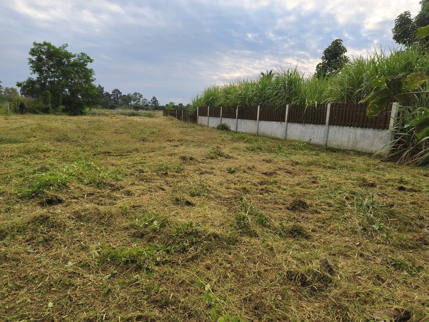 ขายที่ดินติดริมน้ำปิงกำแพงเพชร 6