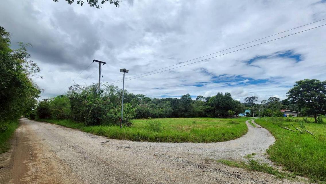 ขายที่ดินหลังสถานีรถไฟความเร็วสูงปากช่อง   บ.เขาเสด็จ / ท่างอย  | ใกล้ริมน้ำ & วิวเขา ( น.ส.3ก ) ราคาพิเศษ!! 6