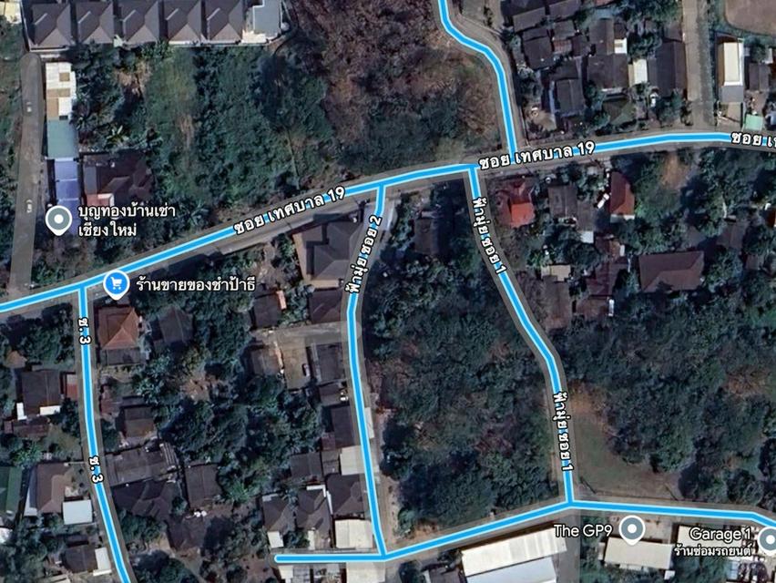 ขายที่ดิน 196 ตารางวา สันทราย เชียงใหม่ 2