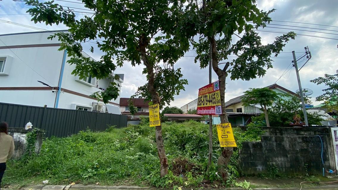 ขายด่วน ที่ดินใกล้เดอะมอลล์บางแค 75 ตารางวา ติดถนนคอนกรีตสาธารณะ ถมแล้ว ซอย เพชรเกษม 68 แยก 29 เขตภาษีเจริญ กทม. 3