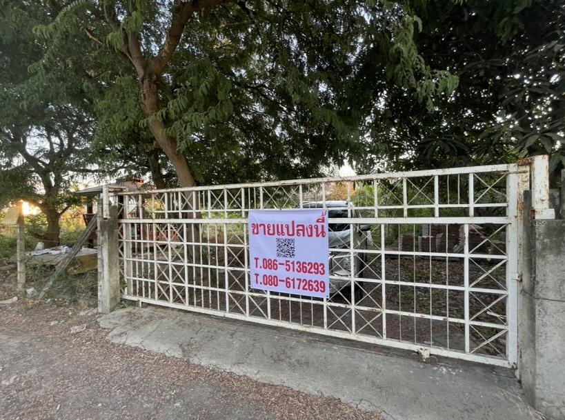 ที่ดินคลองสอง ถมแล้ว 380 ตร.ว. บงกช 47 1