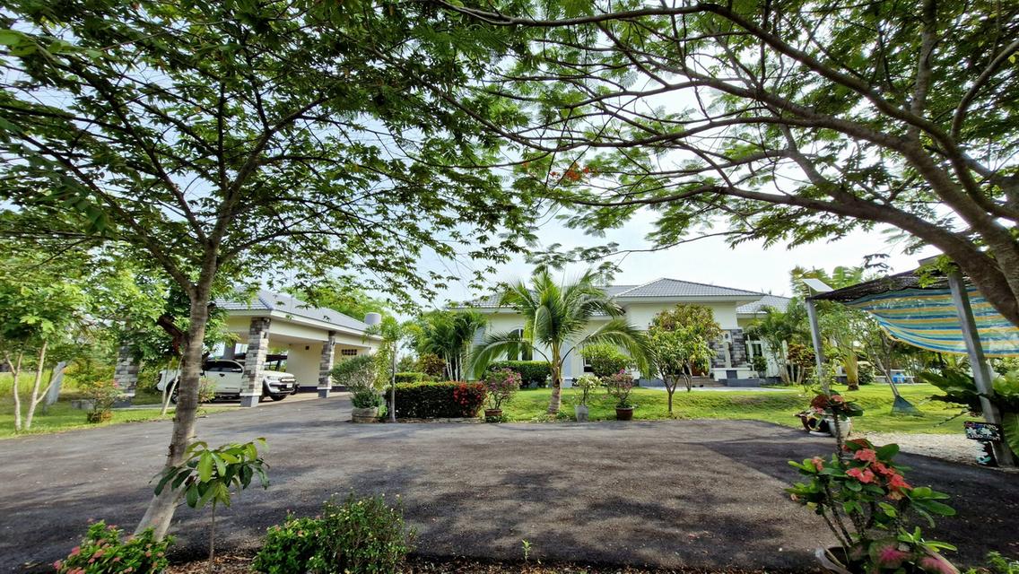 ขายบ้านสวนพร้อมที่ดินขนาดใหญ่ จ.อุดรธานี (H1SS-421) 1