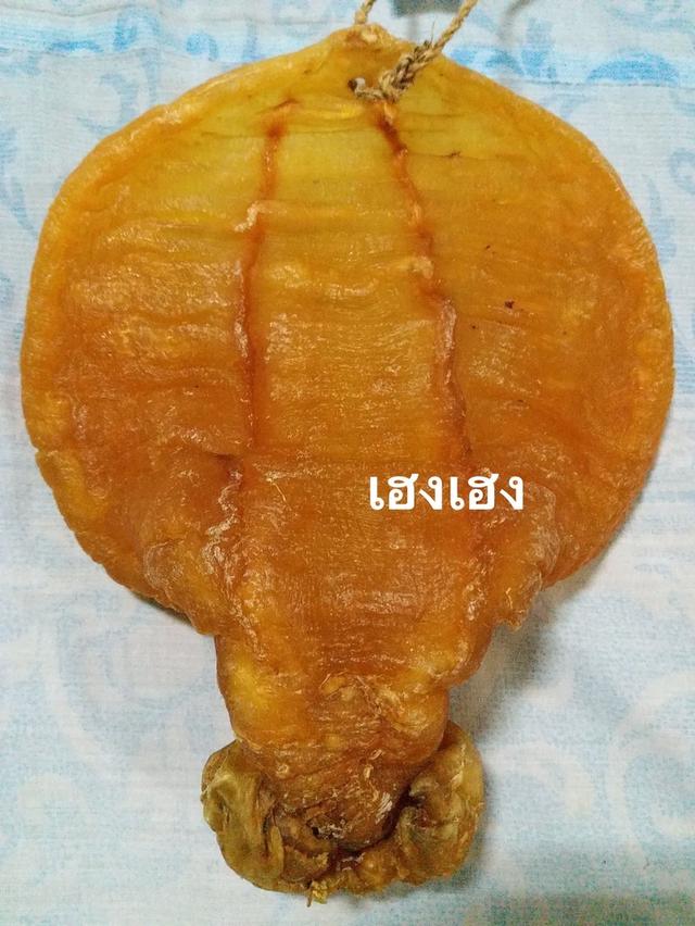 รับซื้อกระเพาะปลา พระเครื่อง ของสะสม 8