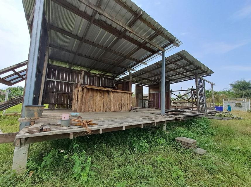 ที่ดินสวนน้ำไฟพร้อมแบ่งจ่ายได้ 11