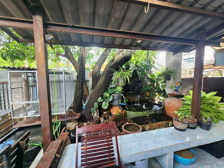 🏡 บ้านเดี่ยวทำเลสงบ ความเป็นส่วนตัวสูง บนพื้นที่กว้าง 71 ตร.วา  3 ห้องนอน 2 ห้องน้ำ 📍 ซอยพหลโยธิน 64 (หลัง รพ.บี.แคร์) | หมู่บ้านแข็งขัน 3 (งดงาม 3) 9