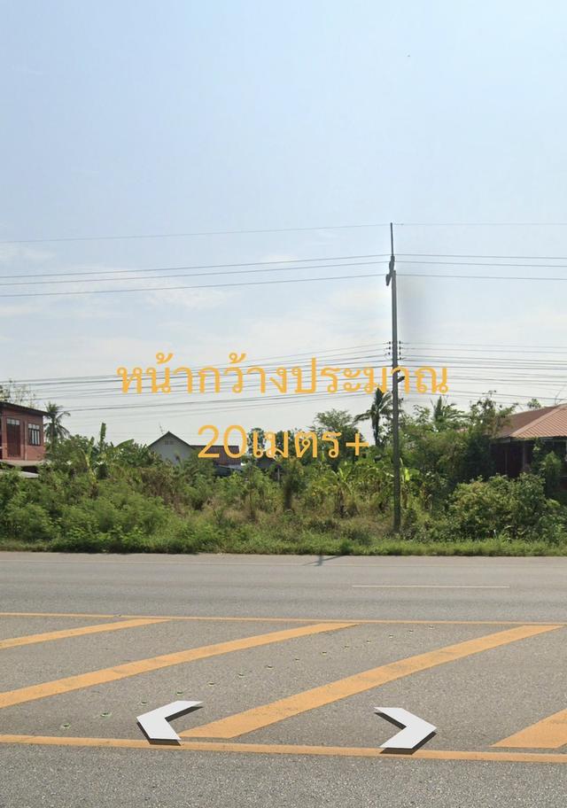 ที่ดินถมแล้ว จังหวัดพิษณุโลก ติดถนนหลวง 4 เลน 5