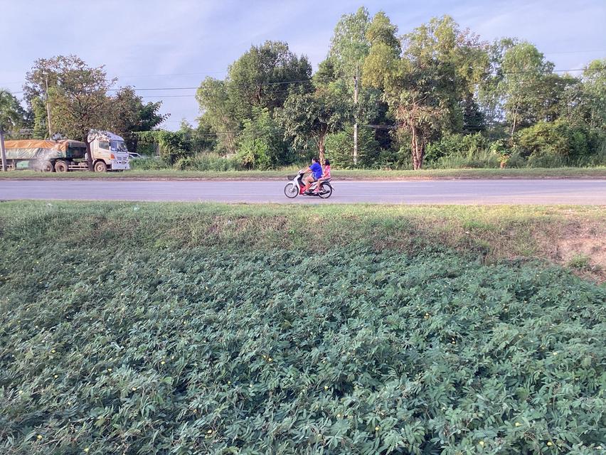 ขายที่ดินติดถนนเมนหลักใกล้สถานีรถไฟใหม่ “นครพนม” 1