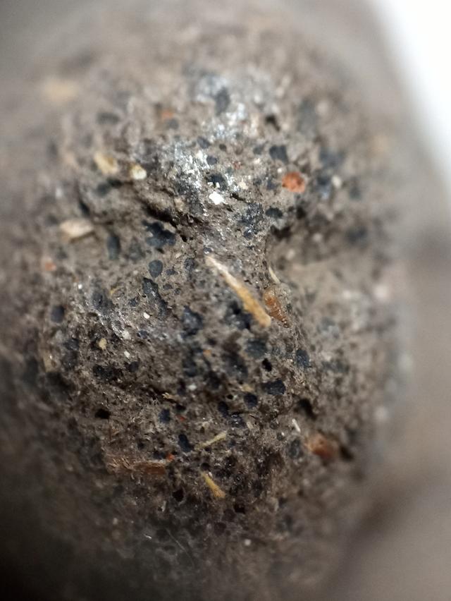 หลวงปู่ทวดเนื้อว่าน 2497