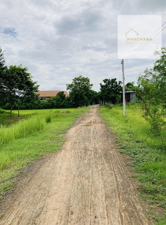ขายที่่ดินสำหรับปลูกบ้านพักอาศัย อยู่ใกล้แหล่งชุมชน เดินทางสะดวก ใกล้ตัวเมืองบุรีรัมย์ 4