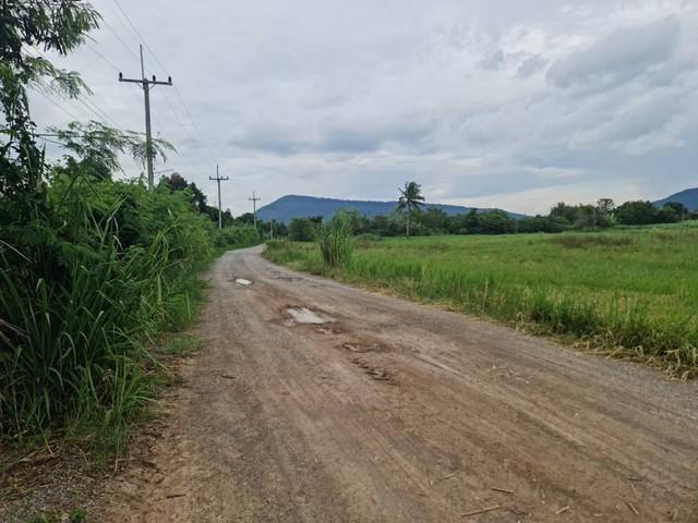 เดือนแห่งความรักหาทรัพย์สวยสักแปลง ที่ปากช่อง 2ไร่- 8ไร่ โฉนด ต.วังไทร อ.ปากช่อง จ.นครราชสีมา ไร่ละ 2.9 ลบ.สูงจากระดับน้ 1