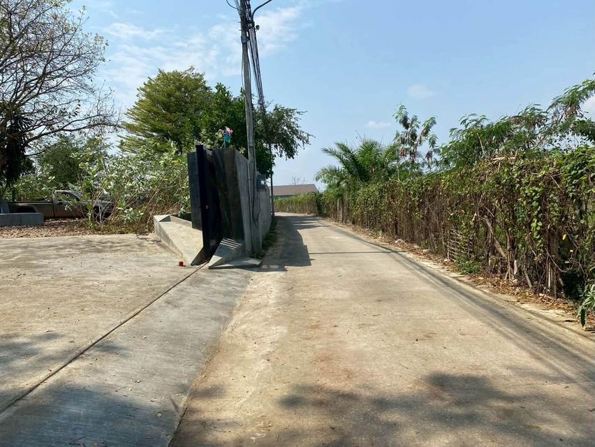 ที่ดินพร้อมสิ่งปลูกสร้าง บ้านวังสิงห์คำ ต.ป่าแดด อ.เมืองเชียงใหม่ 2