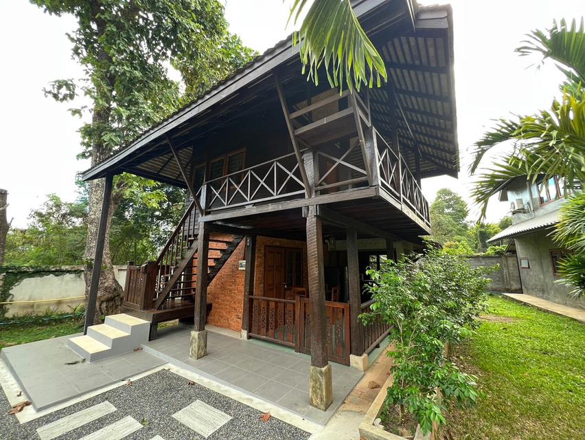 ให้เช่าบ้านเดี่ยวยกสูง ตอบโจทย์คุ้มค้า 2ห้องนอน 2ห้องน้ำ 18000/เดือน อุปกรณ์ภายในครบครัน ใกล้สิ่งอำนวยความสะดวก 1