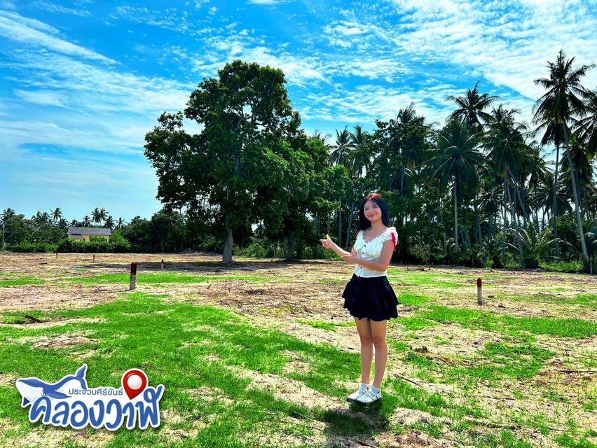 ที่ดิน.ใกล้หาด วิวภูเขา ห่างทะเลเพียง 5 นาที แบ่งขาย 110-200 ตรว.  ต.คลองวาฬ อ.เมือง  จ.ประจวบคีรีขันธ์ 5