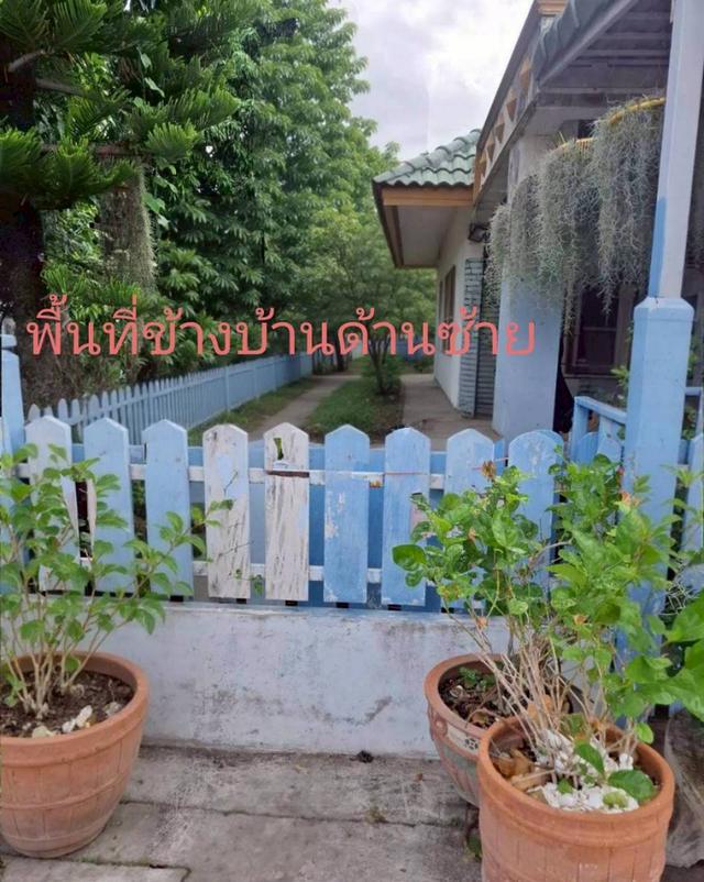 บ้านเดี่ยวชั้นเดียว ม.ศักดิ์ทิพย์2 6