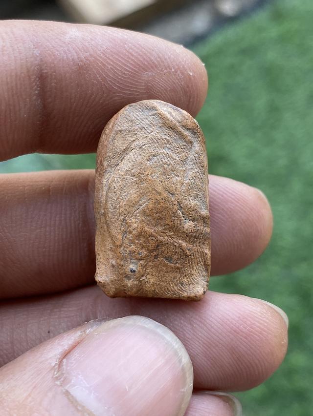 พระคง เนื้อพิกุล จังหวัดลำพูน รูปย่อยที่ 2