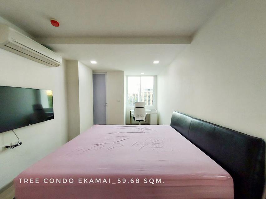 ให้เช่า คอนโด just renovated 2 bedrooms city viewTree Condo เอกมัย 60 ตรม. close to BTS Ekkamai Thonglor Sukhumvit area 4