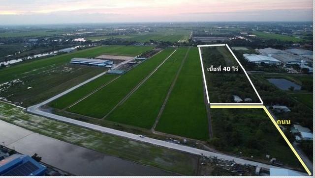 ขายที่ดิน6ไร่ผังสีม่วงจุดสีขาวเขตEEC อ.เมืองฉะเชิงเทราหน้ากว้าง 105 เมตร แปลงสวยใกล้ตลาดปองพล 5
