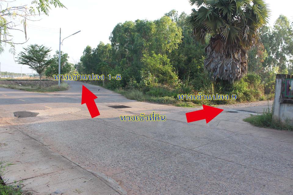 ที่ดินบ้านสวนชานเมืองขอนแก่น 8