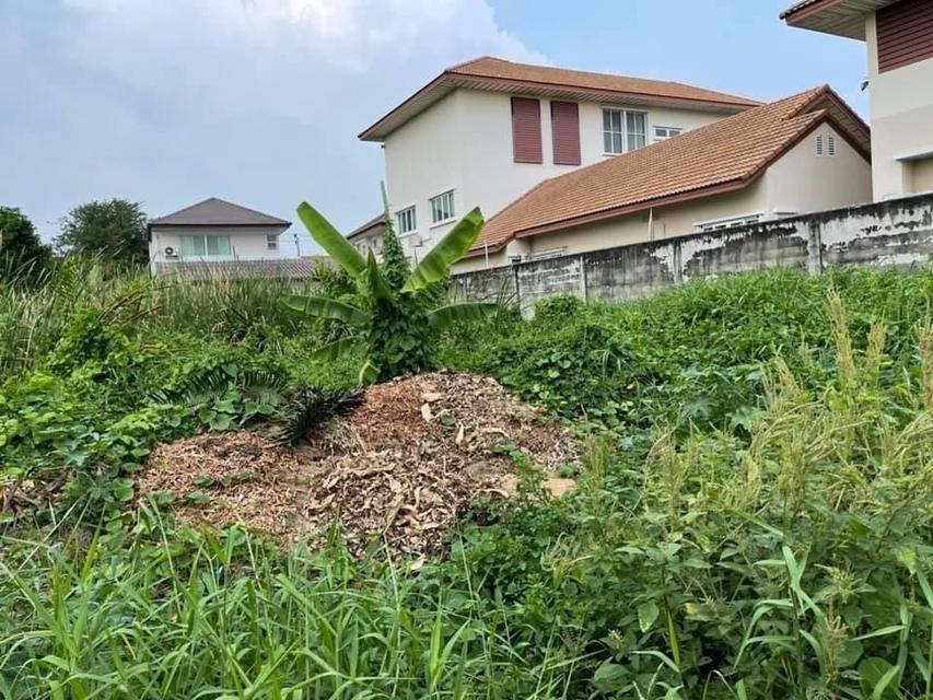 ขายที่ดิน 346 ตารางวา  เทศบาลนครปากเกร็ด อำเภอปากเกร็ด นนทบุรี 5