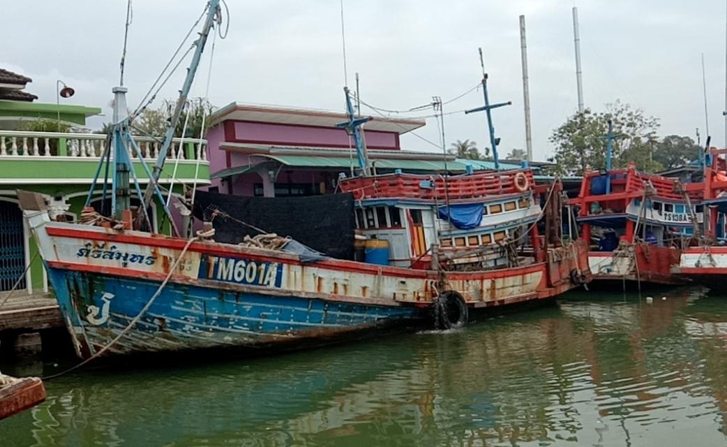 ขายเรือ ประมงสภาพดีมาก