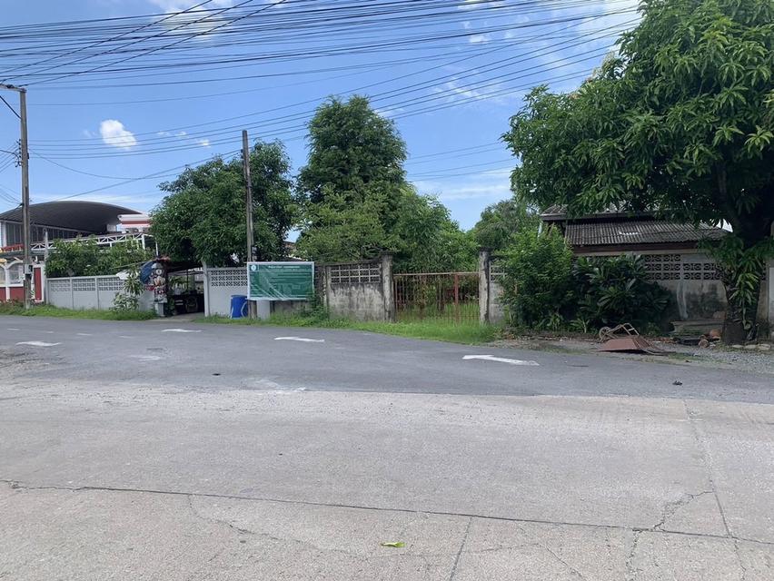 ขายถูกที่ดินเปล่าแปลงเล็ก 163 ตร.ว. ซ.เฉลิมพระเกียรติ ร.9 38  2