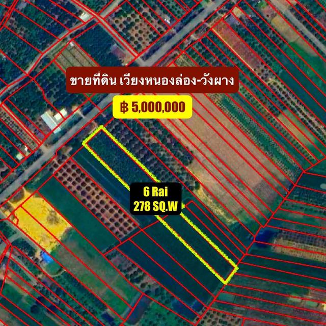 ขายที่สวนมะม่วง+ที่นาติดถนนเส้นหลัก มีน้ำใช้เยอะ 8