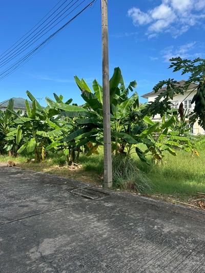 ขายที่ดินราคาถูก ต่ำกว่าราคาประเมินราชการ ที่ดินถมแล้ว 70 ตรว. ในหมู่บ้าน มณีรินทร์ เลค & ลากูน ต.บ้านกลาง อ.เมืองปทุมธานี จ.ปทุมธานี 2