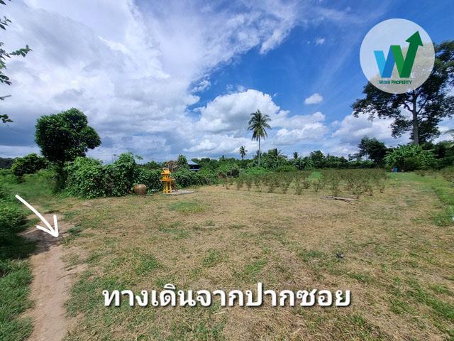 ขายที่ดินแปลงใหญ่ ศิลาดาน มโนรมย์ ชัยนาท 8ไร่ 2 งาน 49 ตร.ว. มีน้ำไฟพร้อม ใกล้ถนนพหลโยธิน 11