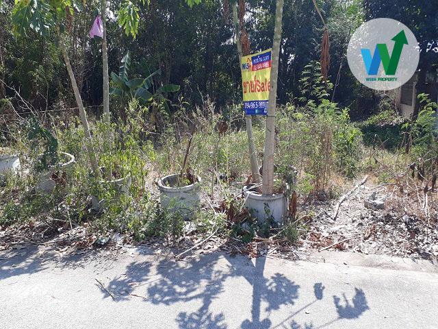 ขายถูกที่ดินสวย บ้านสวนศรีปทุมใกล้ดรีมเวิลด์ 5