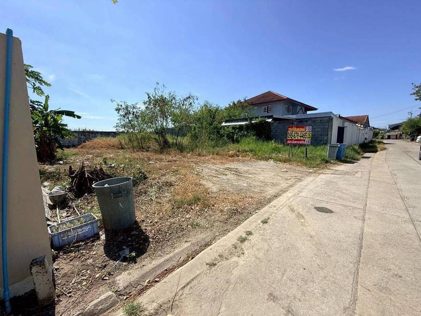 ขายถูกที่ดิน 85 ตรว ถมแล้ว ซ.หมู่บ้านสินสุขการ์เด้น อ.บางบ่อ จ.สมุทปราการ 2