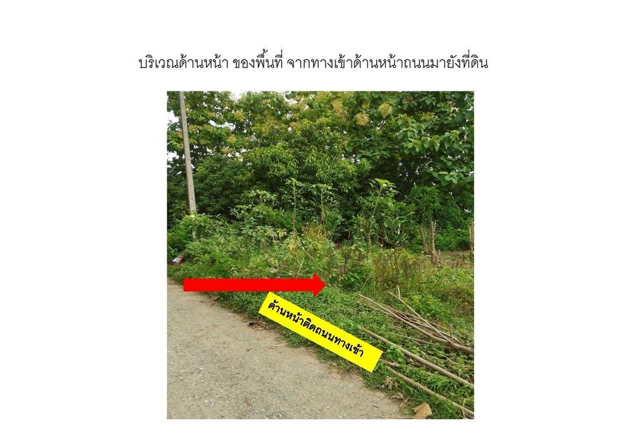 ขายด่วน‼️ ที่ดินโฉนด 116 ตร.ว. สันกำแพง เชียงใหม่ ใกล้วัดกอสะเลียม เจ้าของขายเอง ราคาถูกมาก 2