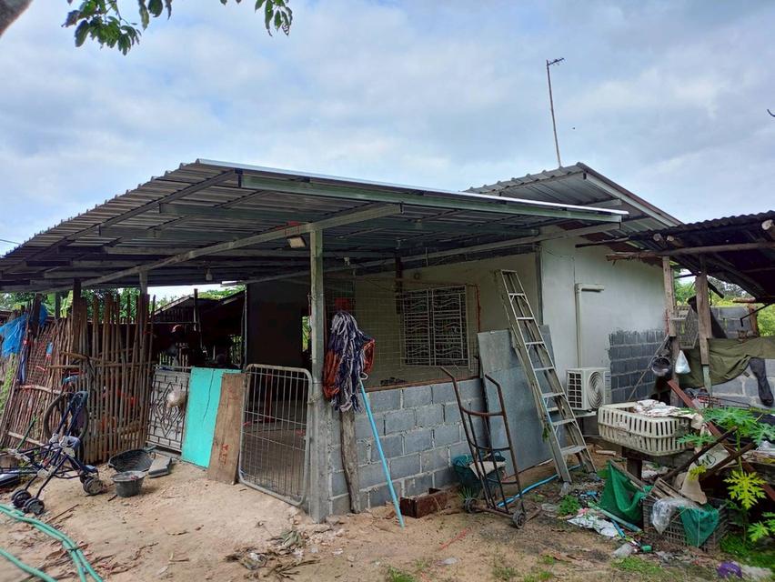 ขายที่ดินสวยๆ ติดถนน แปลงใหญ่ 8 ไร่กว่า ใน จ.อุบลราชธานี (N.1844) 3