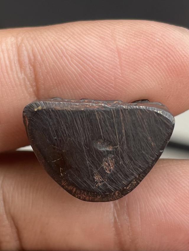 รูปหล่อหลวงปู่ดู่ วัดสะแก 4