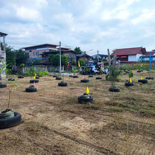 ที่ดินเปล่า กลางเมืองนครราชสีมา 3