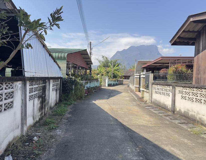 บ้านพร้อมที่ดินในตัวเมืองเชียงดาว 3