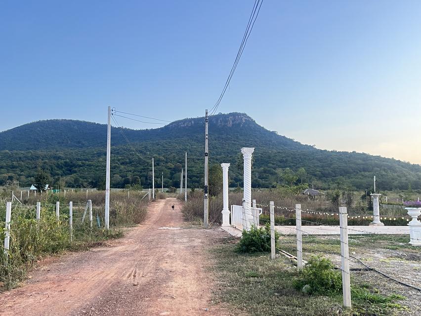 ขายที่ดินวิวสวย แก่งกระจาน 6