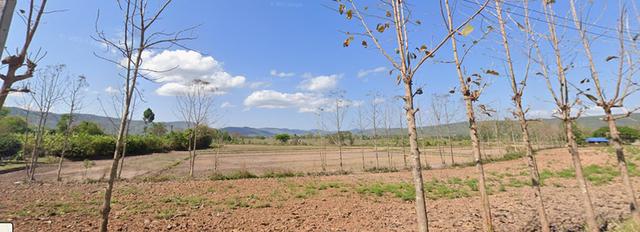 ขายที่ดิน 9 ไร่ 2 งาน 45.0 ตารางวา พิกัด ต.เจริญเมือง อ.พาน จ.เชียงราย