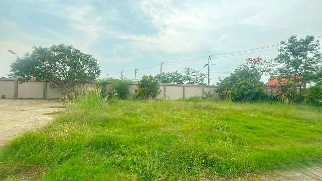 มีรั้วรอบขอบชิด ถนนคลองสิบ ให้เช่า โกดัง ขนาดใหญ่ 2 ไร่ 30 ตร.วา คลองสิบสี่ ติดถนนใหญ่ ใกล้สถานีตำรวจนครบาลลำหิน 1.5 กม. 7