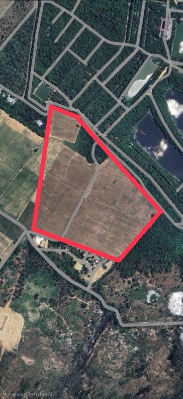 #ขายที่ดินผังสีเหลืองอ่อน บ้านบึง ชลบุรี 84ไร่ 2งาน 97ตารางวา  อยู่ถนนสายบ้านบึง - บ้านค่าย (ถนนสาย 3138) ตำบลคลองถิ่ว อำเภอบ้านบึง จังหวัดชลบุรี 1