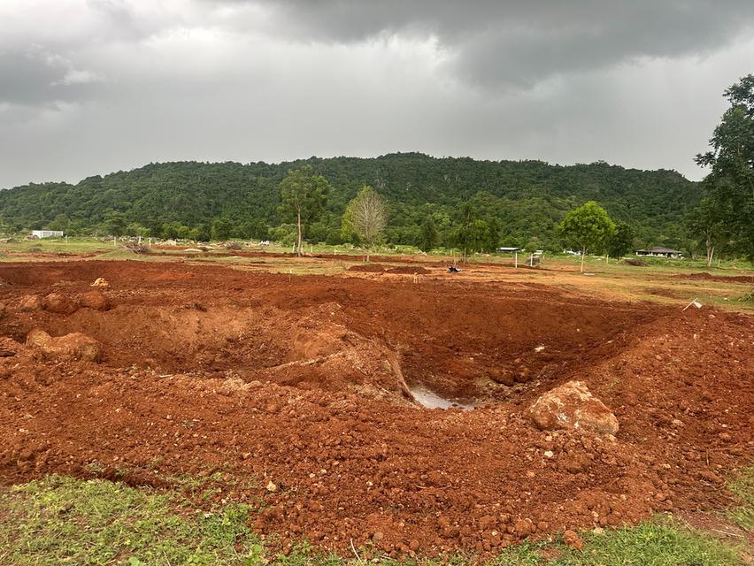 ที่ดิน เขาปากกว้าง โพธาราม ราชบุรี ขนาด 100 ตร.วา - 1 ไร่  13