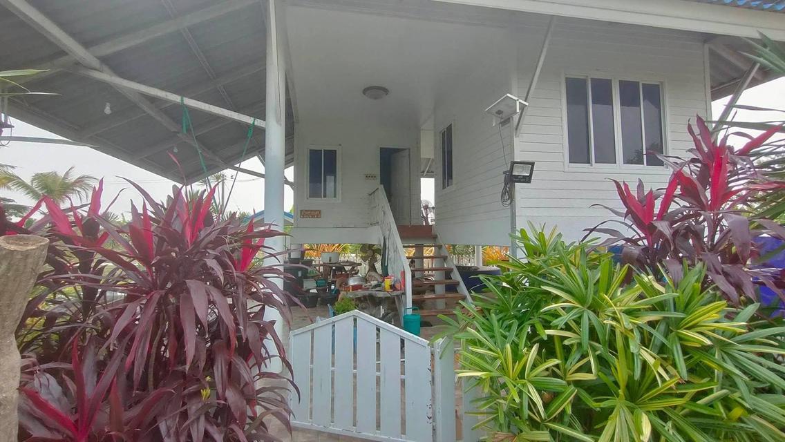 บ้านพร้อมที่ดินแปลงใหญ่ 4