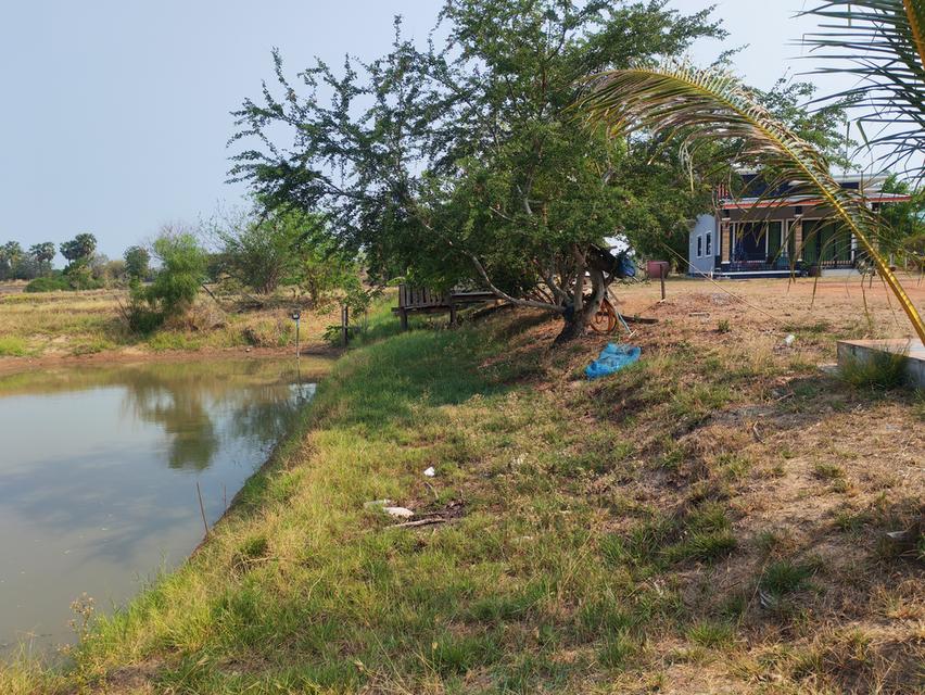 ​🏠 [ประกาศขาย] บ้านสวนโมเดิร์น พร้อมที่ดินผืนใหญ่ 11 ไร่เศษ 🌳 ​สัมผัสชีวิตใกล้ชิดธรรมชาติ บนพื้นที่ส่วนตัวที่ตอบโจทย์ทุกการใช้ชีวิต 🍃 20