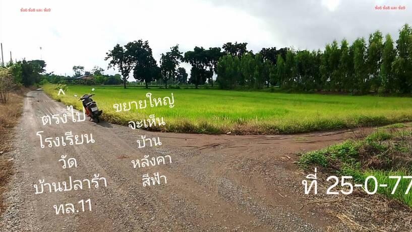 ที่ดิน25ไร่ นครสวรรค์ ใกล้กรุงเทพ 3