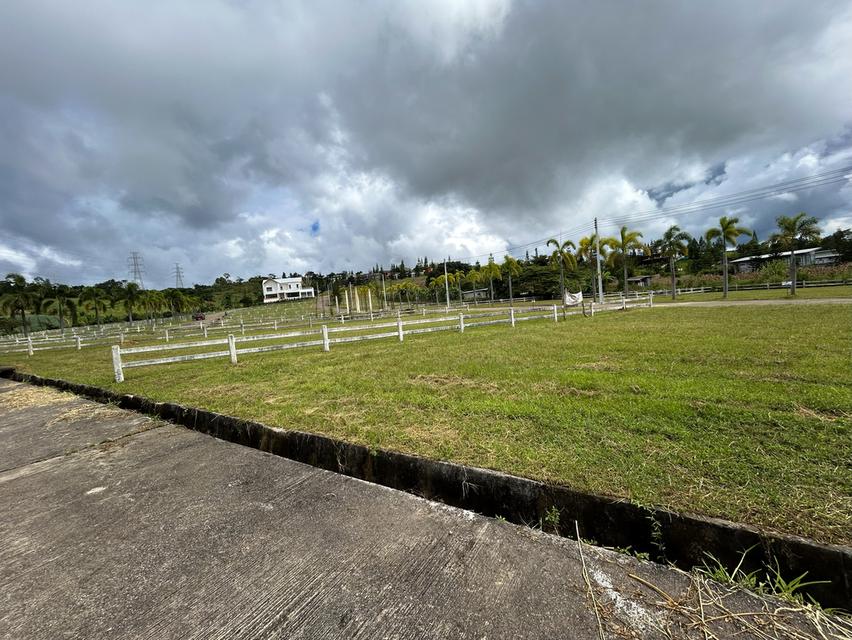 ขายที่ดินจัดสรรแปลงสวยเขาค้อ 4