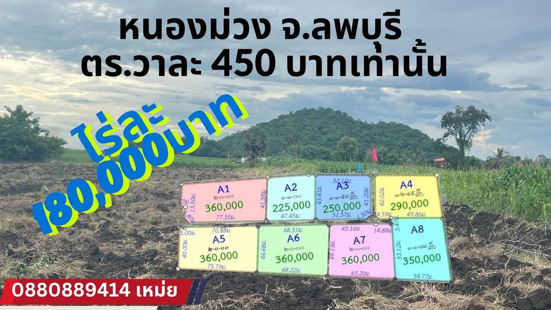 ที่ดินหนองม่วง จ. ลพบุรี 7